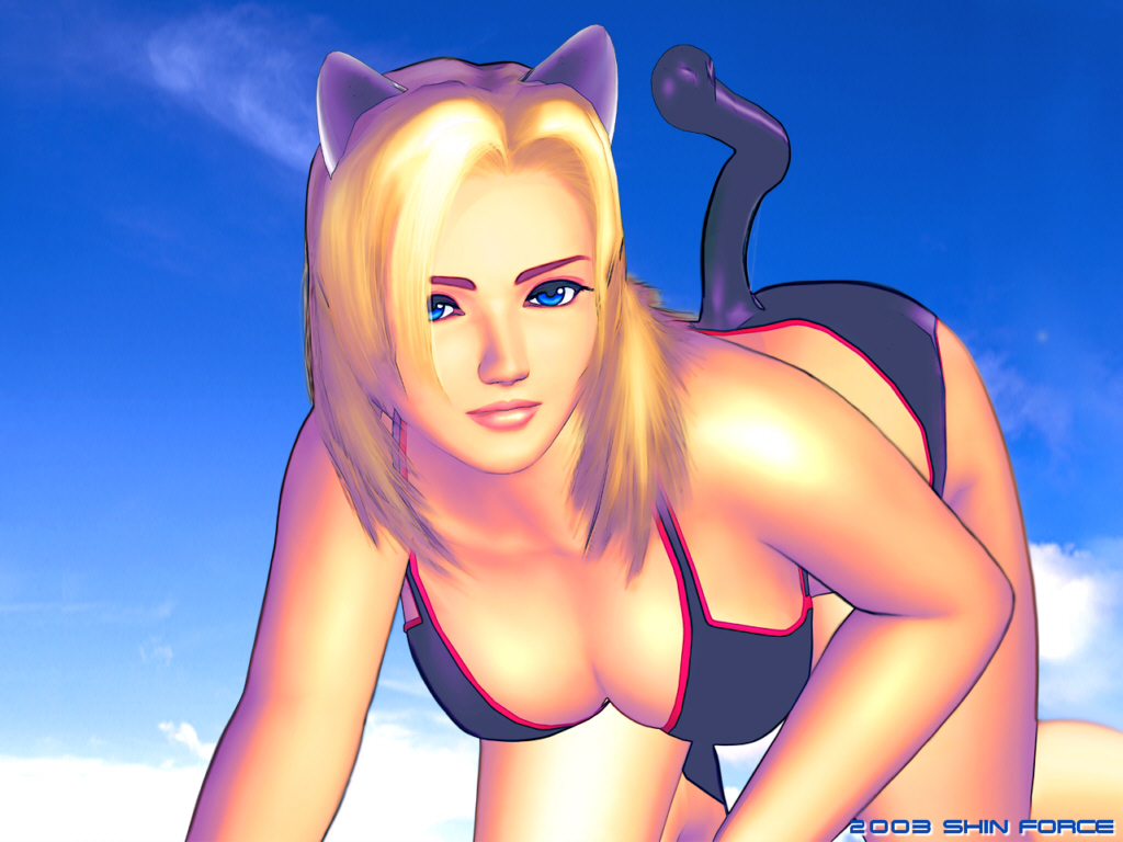 Shin Force Games Elite Series Dead Or Alive Gallery Doa2 Teasing Tina 